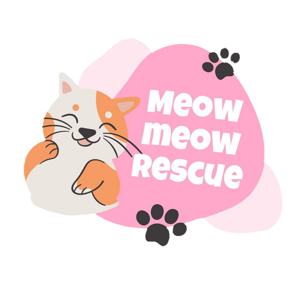 Meows Kitten and Cat Rescue